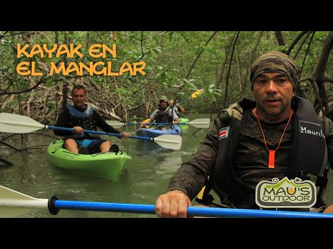 Mau's Outdoor  - Aventura de Kayak en el Manglar | Quepos, Costa Rica