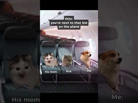 you're next to that kid on the plane #catmemes #relatable #shorts