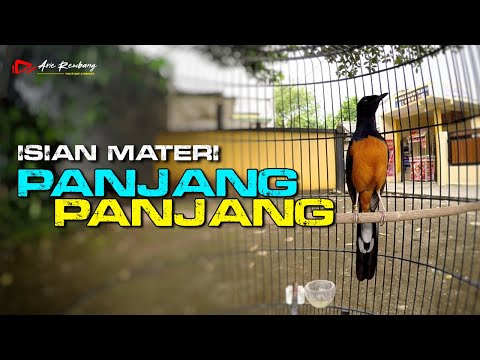 MURAI GACOR MATERI ISIAN MEWAH NEMBAK PANJANG PANJANG