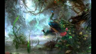 Krut - Wild and Wonderful