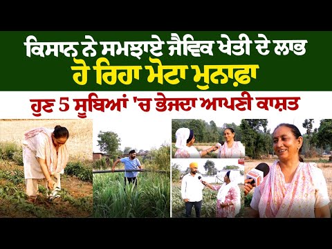 Organic Farming : ਕਿਸਾਨ ਨੇ ਸਮਝਾਏ ਜੈਵਿਕ ਖੇਤੀ ਦੇ ਲਾਭ, ਹੋ ਰਿਹਾ ਮੋਟਾ ਮੁਨਾਫ਼ਾ