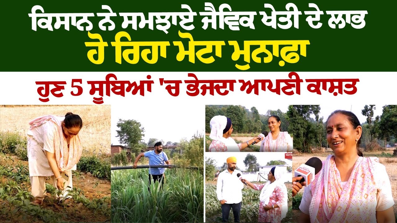 Organic Farming : ਕਿਸਾਨ ਨੇ ਸਮਝਾਏ ਜੈਵਿਕ ਖੇਤੀ ਦੇ ਲਾਭ, ਹੋ ਰਿਹਾ ਮੋਟਾ ਮੁਨਾਫ਼ਾ Organic Farming : ਕਿਸਾਨ ਨੇ ਸਮਝਾਏ ਜੈਵਿਕ ਖੇਤੀ ਦੇ ਲਾਭ, ਹੋ ਰਿਹਾ ਮੋਟਾ ਮੁਨਾਫ਼ਾ