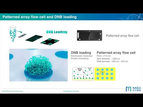 [비엠에스] Webinar: MGI DNBSEQ™ Sequencing Technology