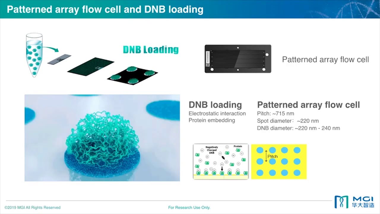 [비엠에스] Webinar: MGI DNBSEQ™ Sequencing Technology