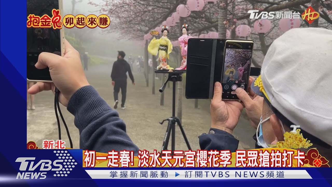 初一走春!淡水天元宮櫻花季 民眾搶拍打卡