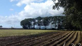 preview picture of video 'The Carnie Wood Crop'