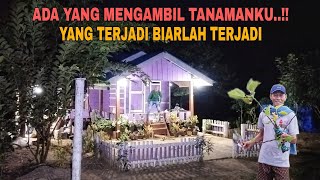 Download lagu ADA YANG MENGAMBIL TANAMANKU..!! YANG TERJADI BIARLAH TERJADI mp3