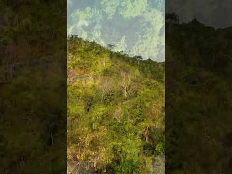 Isso não é cenário… é casa 🌿 Na Floresta Glamping - AL