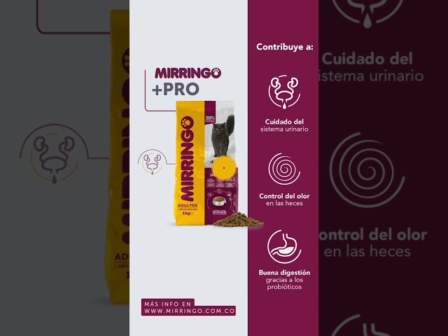 Vídeo relacionado con Nemesis Now Soporte de Incienso para Gatos, Resina, Negro, 29cm