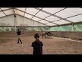 Superbe jument 4 ans par chacco white