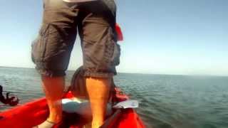 preview picture of video 'Kayak Fishing Mar Azul con mi hermano!!'
