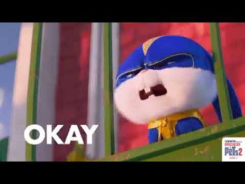 Funny Ok Gif