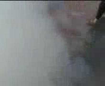 Cro Auto Moto Jackass