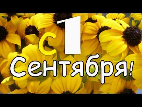 Поздравление с 1 сентября. Поздравляю с днем знаний!