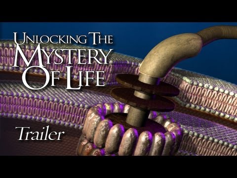 Unlocking The Mystery of Life Trailer