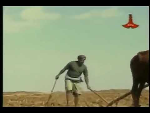 እኔነኝ  ያለው  የበላይ ልጅ ነኝ