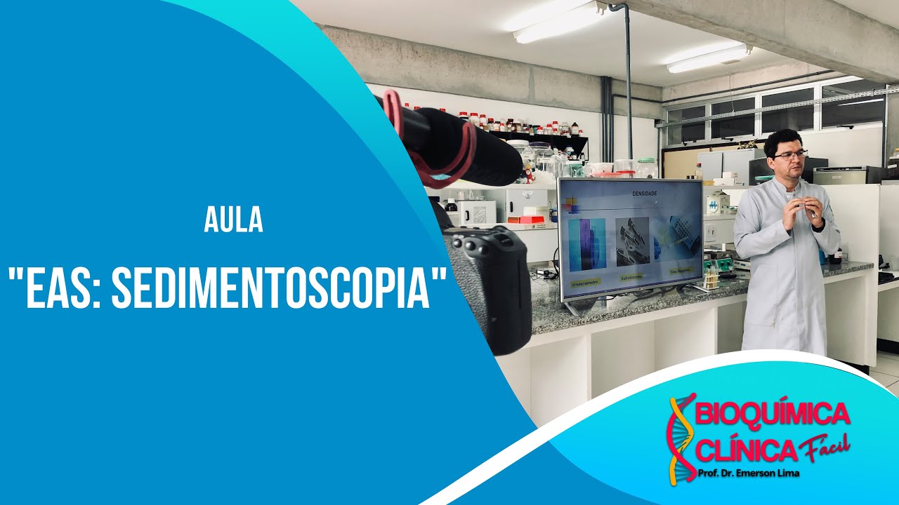 Exame de Urina: Sedimentoscopia