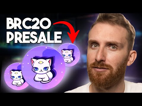NEXT BIG BRC20 PROJECT?! - COPYCAT (Review)