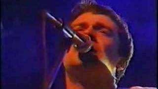 The Chills perform &quot;Pink Frost&quot;