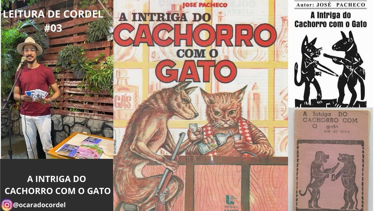 Leitura de cordel #03 A intriga do cachorro com o gato|José Pacheco. O texto marcou minha infância!
