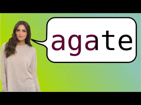 How to say 'agate' in French?