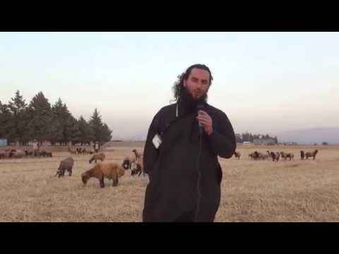 Kurban 2014 / Idh ul Adha 1435 - Ansaar International e.V.