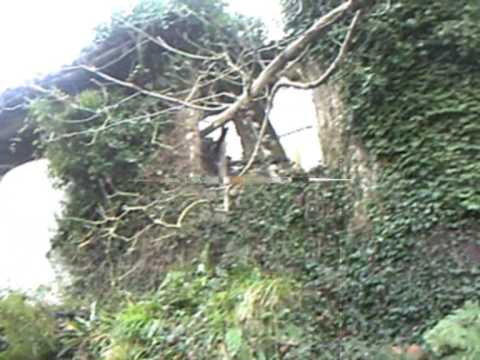 Gigante altzo 20151203.html 1