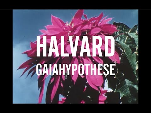 Halvard - Gaiahypothese (Official Video)