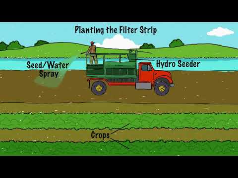 Filter Strips: A Natural Tool for Conserving Nutrients