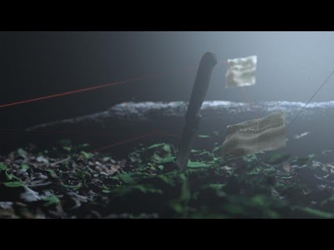 Eiskalte Spur (2v3) – Das Kernteam