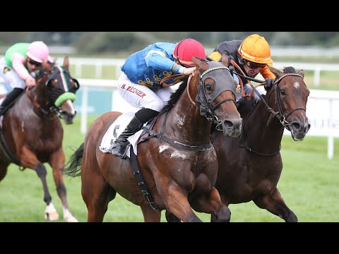 Baden-Baden: 153. Casino Baden-Baden Goldene Peitsche 2023 Sieger: Zerostress