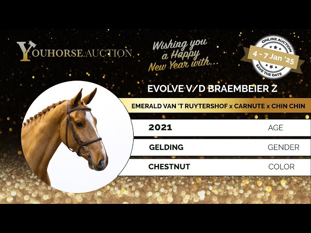 Evolve v/d Braembeier Z