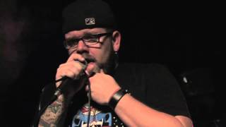 Shrub ~ Cherries ~ 8-8-14