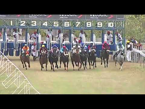 RM26 R4 | Moschino | B.Fayd'herbe