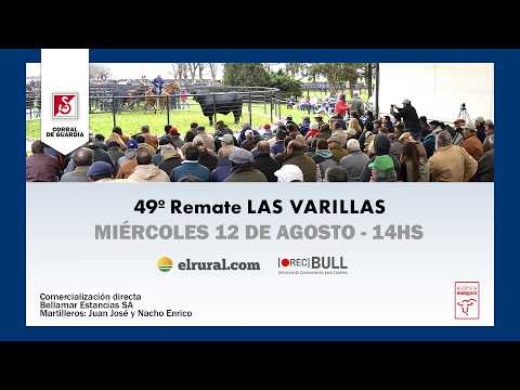 🔴REMATE EN VIVO - 49º Remate LAS VARILLAS | CORRAL DE GUARDIA