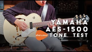 Video thumbnail for Yamaha AES-1500 Demo - Sherwood Music by Sherwood Music