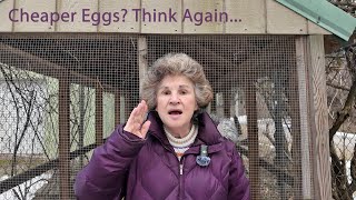 Think Home-Raised Eggs Are Cheaper Than Store Bought? Think Again.