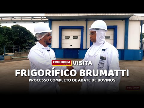 ABATE DE BOVINOS - FRIGORÍFICO BRUMATTI | FRIGOBEM VISITA