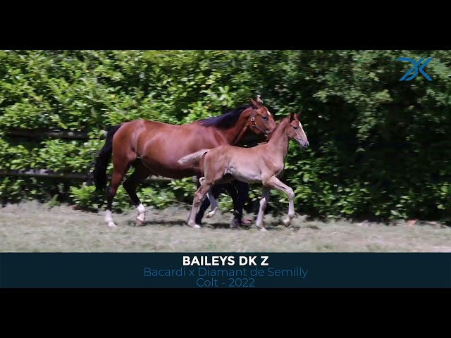 15 Baileys DK Z