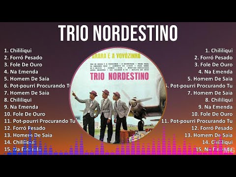 Trio Nordestino 2024 MIX Maiores Sucessos - Chililiqui, Forró Pesado, Fole De Ouro, Na Emenda