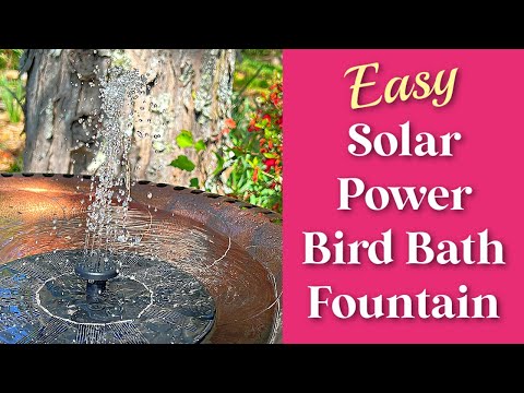 Best Solar Fountain for a Bird Bath? Quick and Easy Set Up