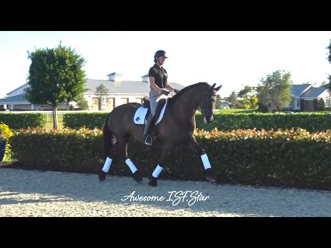 Awesome ISF, Star, by Ulbert 390, Sport, at ISF South, Wellington, FL - February 2022