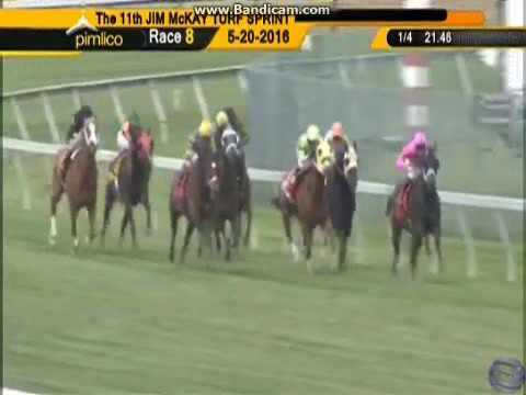 2016 Ben's Cat Jim McKay