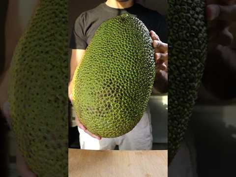 First Time Eating Jackfruit