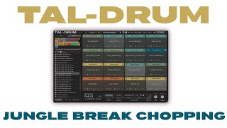 Video thumbnail for Chopping breaks with TAL-Drum by Thought-Forms