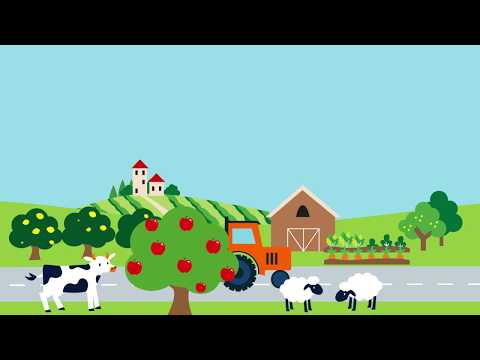 Haumaru Kai Aotearoa - Mahuru Māori 2019