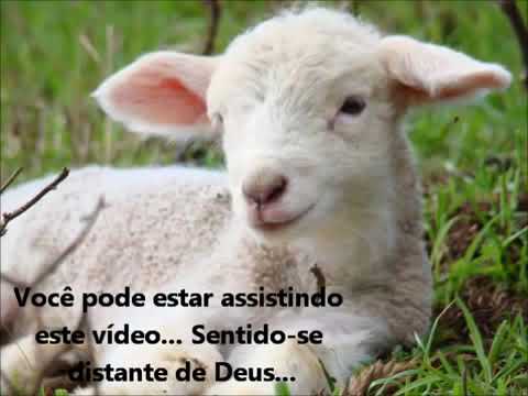 ▶ DEUS ME LEVANTA   ICM   Igreja Cristã Maranata