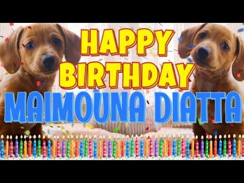 Happy Birthday Maimouna Diatta! ( Funny Talking Dogs ) What Is Free On My Birthday