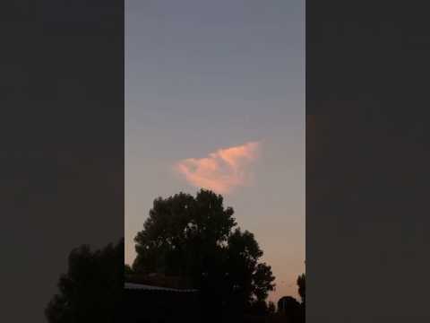 Un nuevo atardecer en la Ciudad de La Plata. Provincia de Buenos Aires. Argentina. Disfruten ❤️