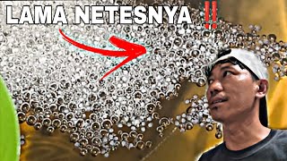 Download lagu There are lots of eggs ‼️ mp3 Download lagu There are lots of eggs ‼️ mp3